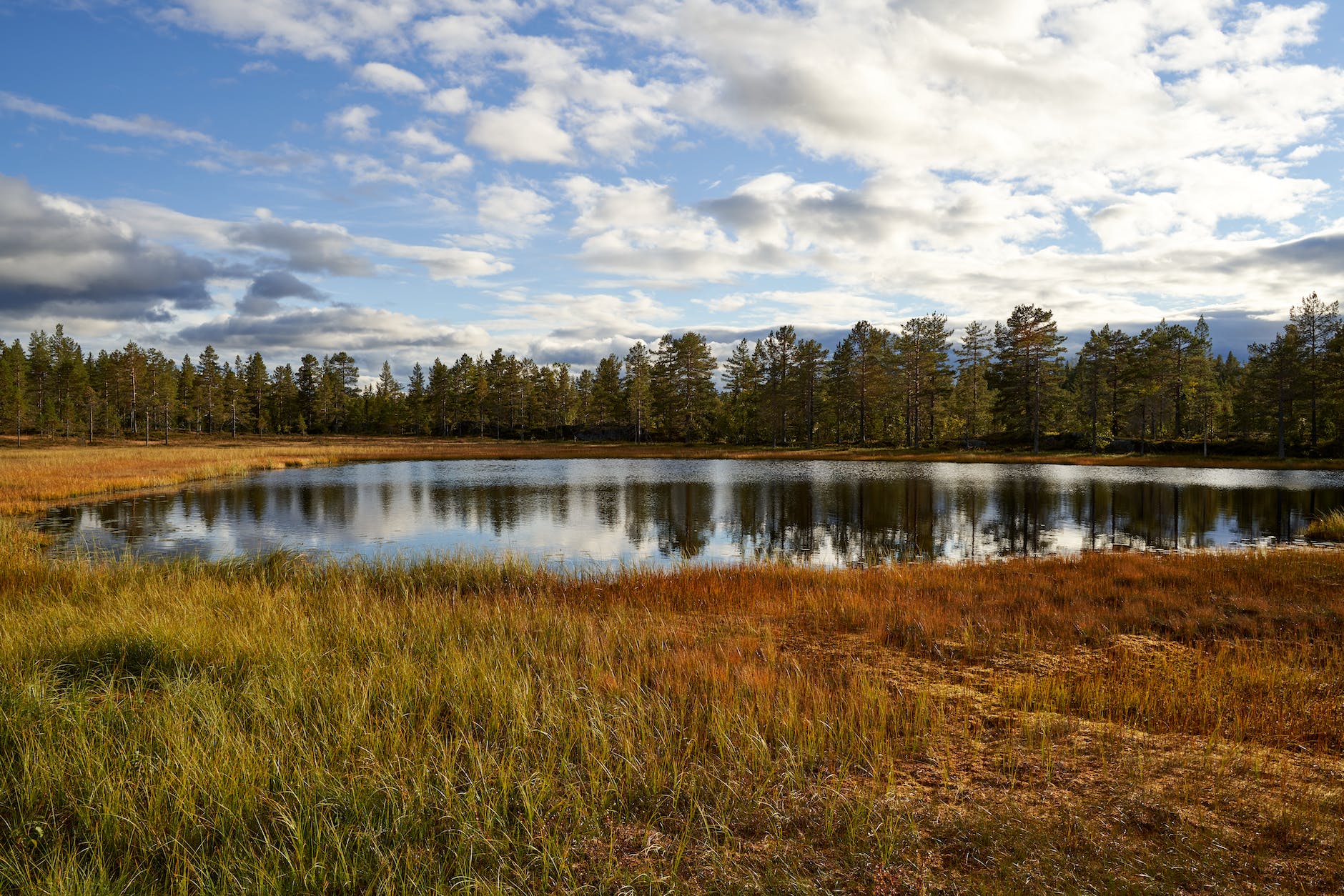 Hösten är officiellt här… Pinewood Lappland!