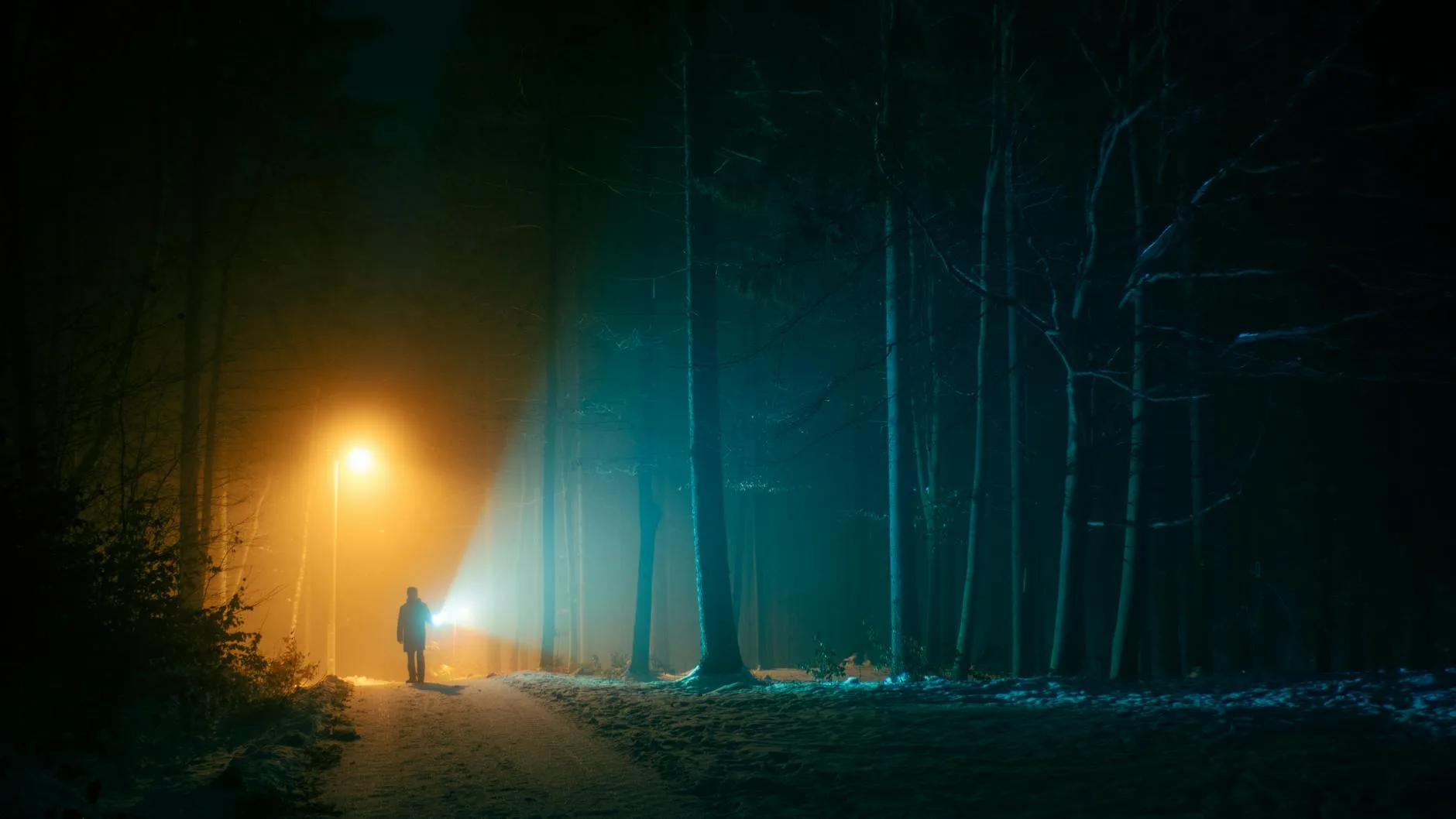 Årets mörkaste dag – Vilken ficklampa?