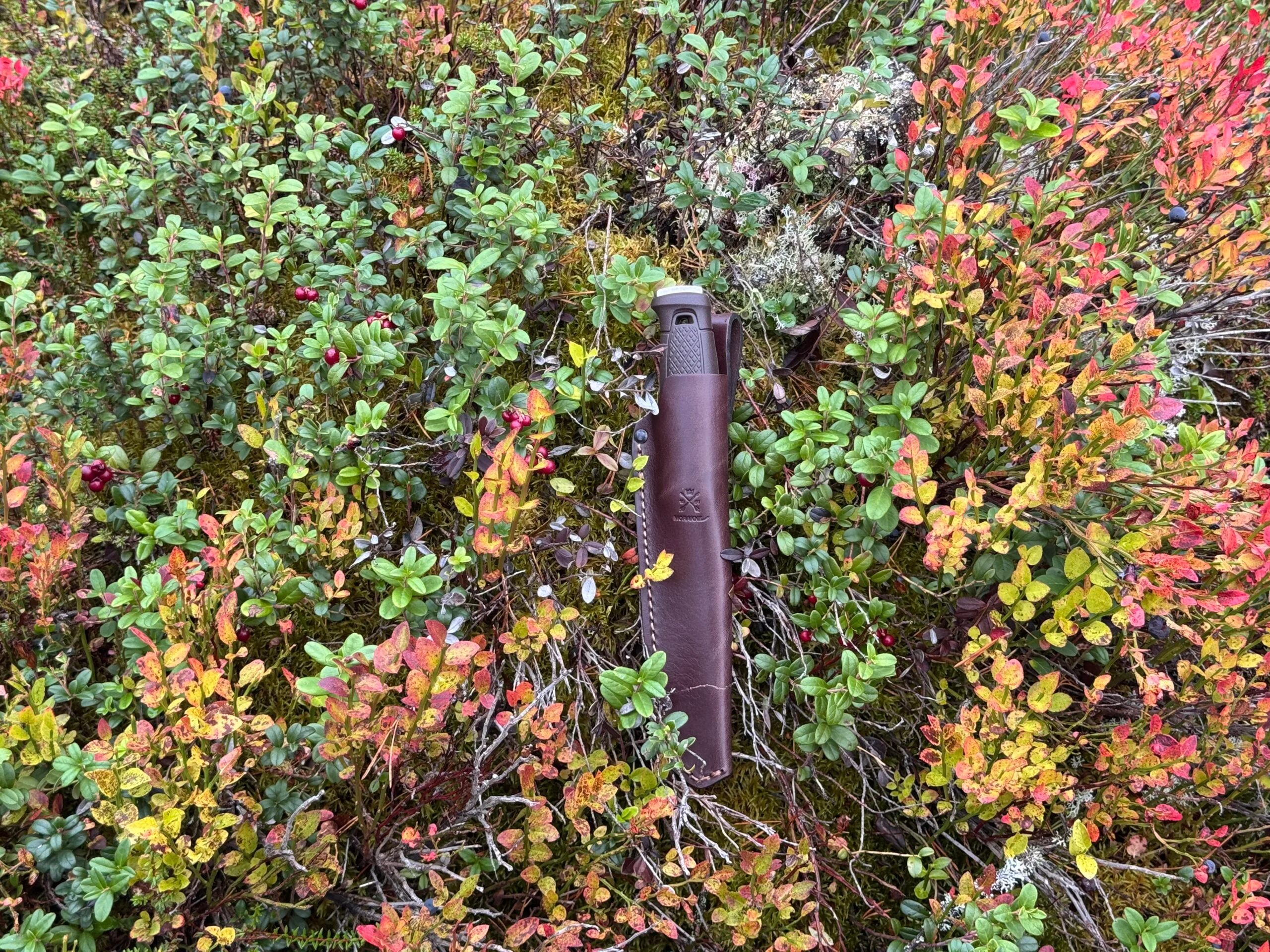 Morakniv Garberg Grand – Ett tag senare