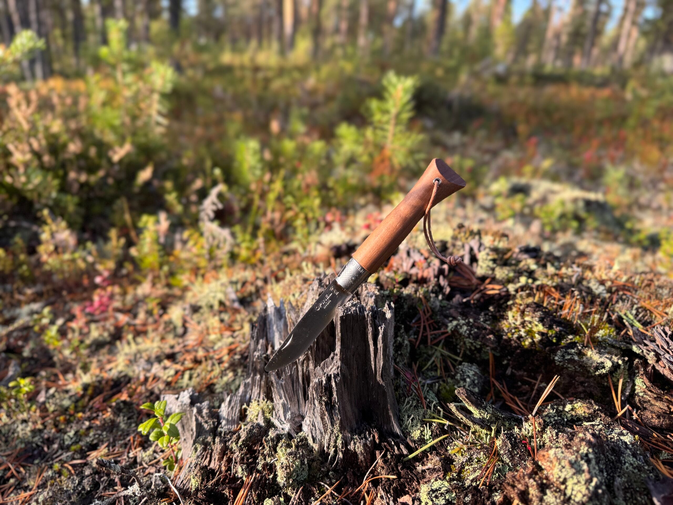 Opinel Néo 6 – Testet