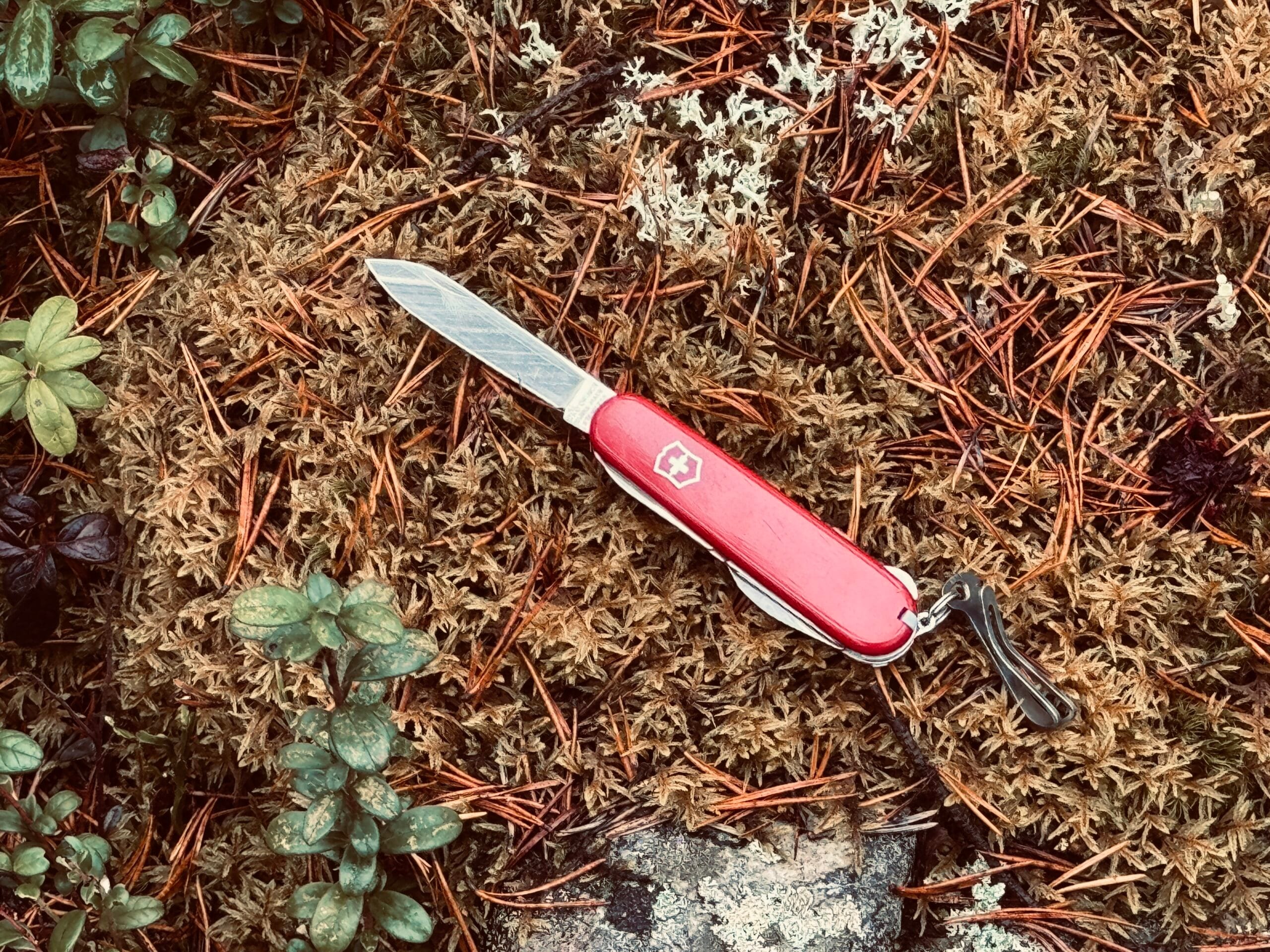 En erfarenhet värd mer än vilken kniv som helst