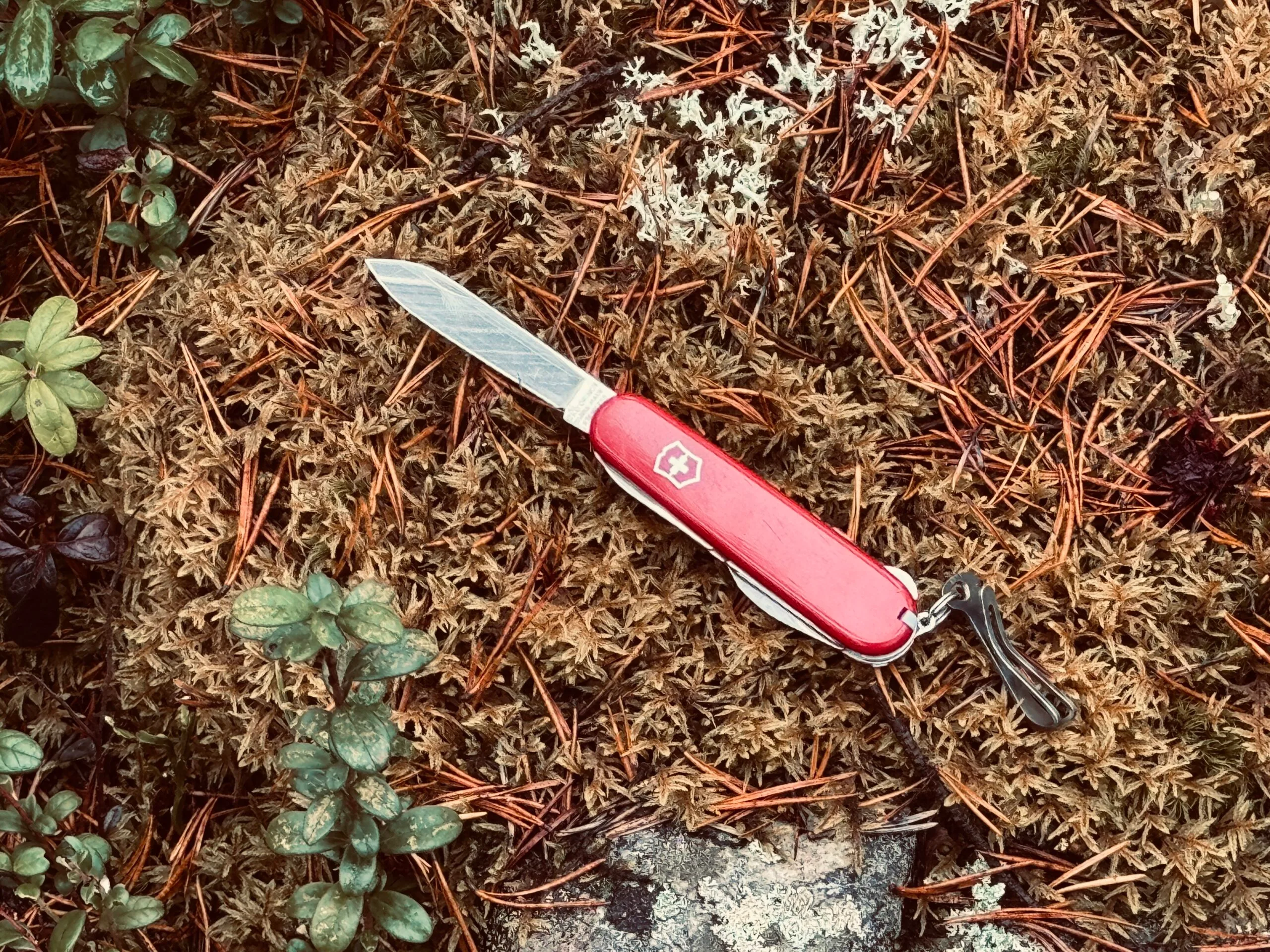 En erfarenhet värd mer än vilken kniv som helst