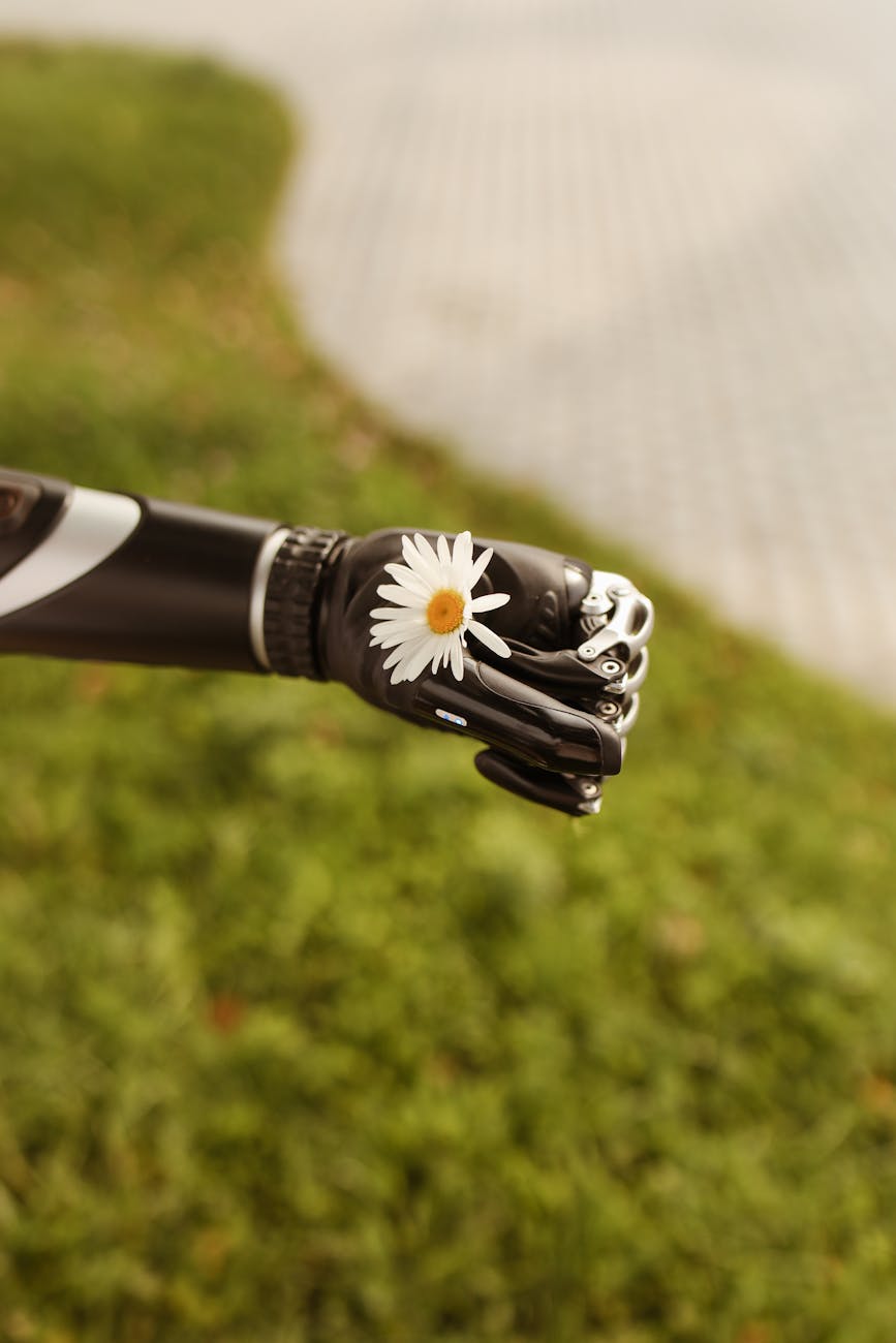 prosthetic arm holding chamomile